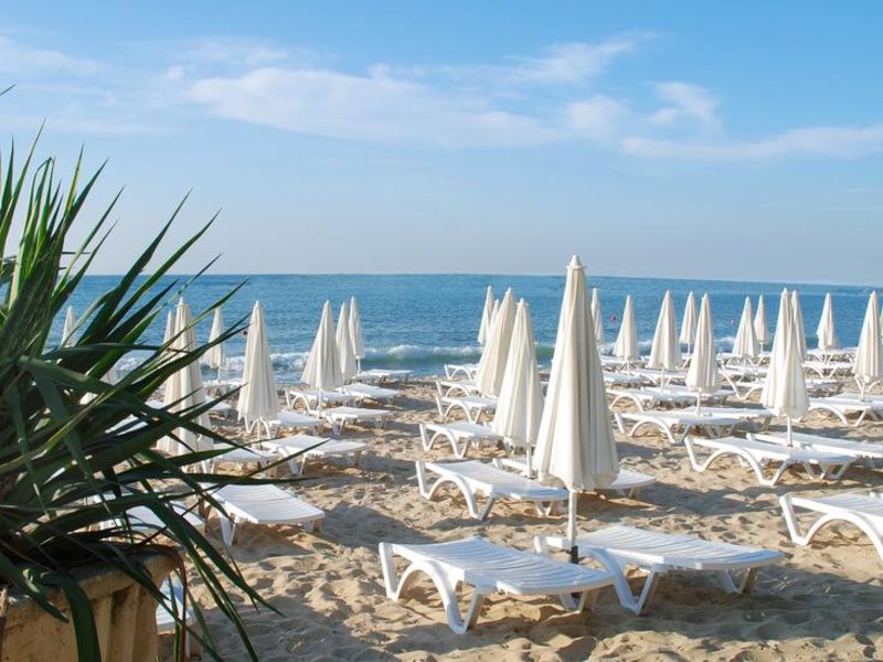 Dolfin - Marina  170512