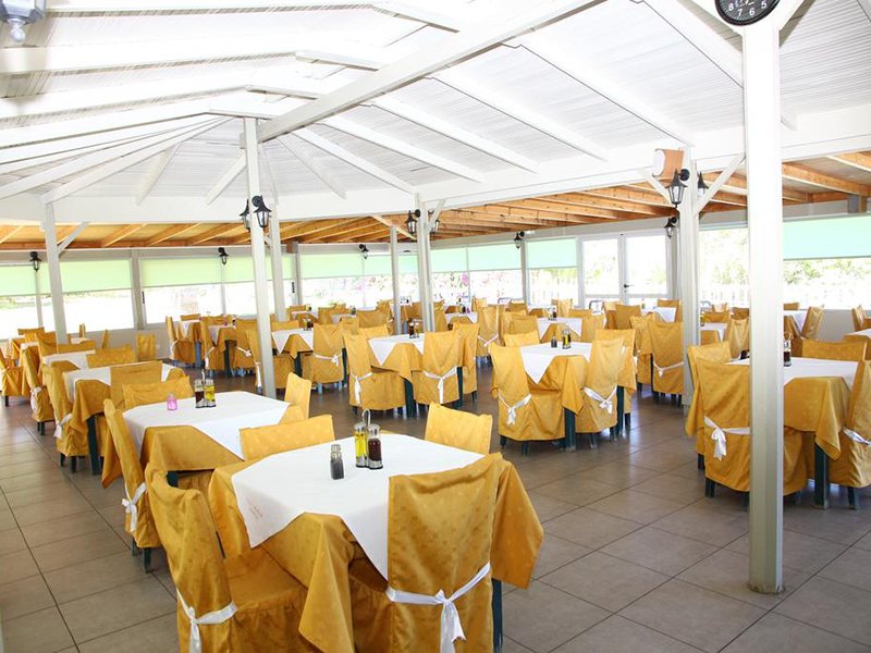 Dolfin Liza Mary (ex 255158