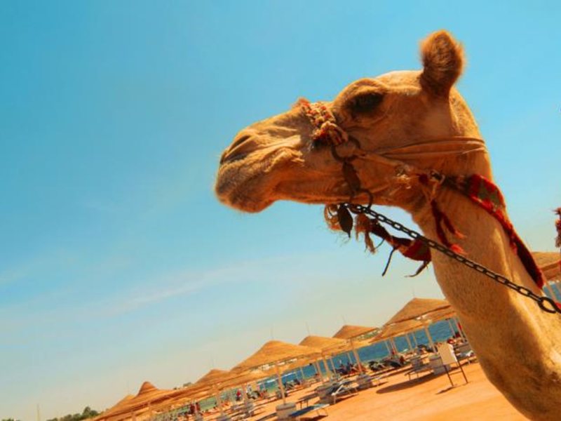 Domina Coral Bay Aquamarin Pool 123201