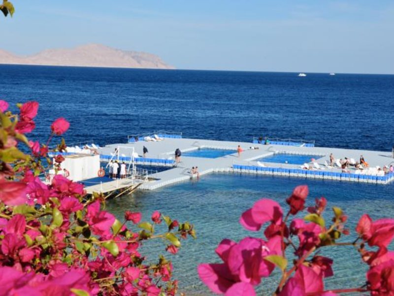 Domina Coral Bay Elisir 123234