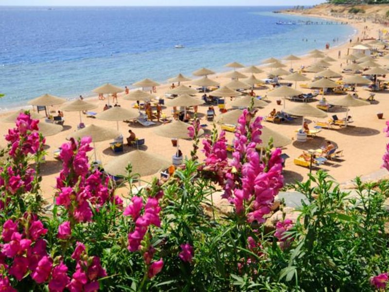 Domina Coral Bay Elisir 123235