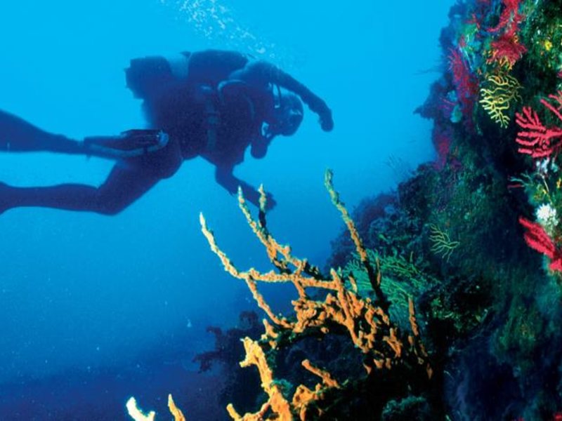 Domina Coral Bay Oasis Garden 123316