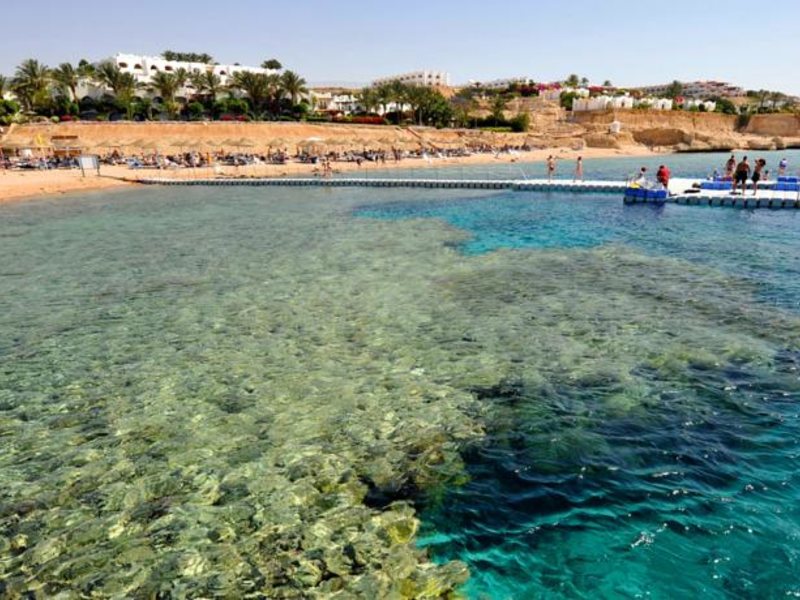 Domina Coral Bay Sultan Beach 123416