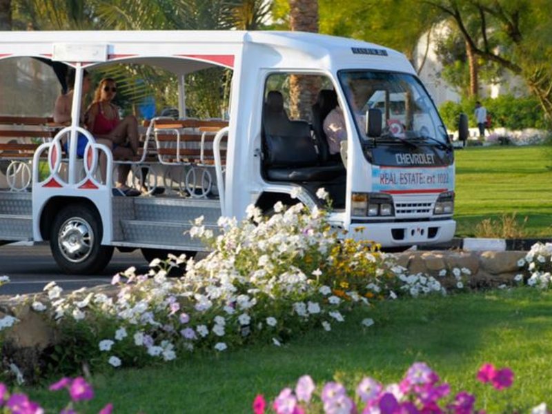 Domina Coral Bay Sultan Pool 123432