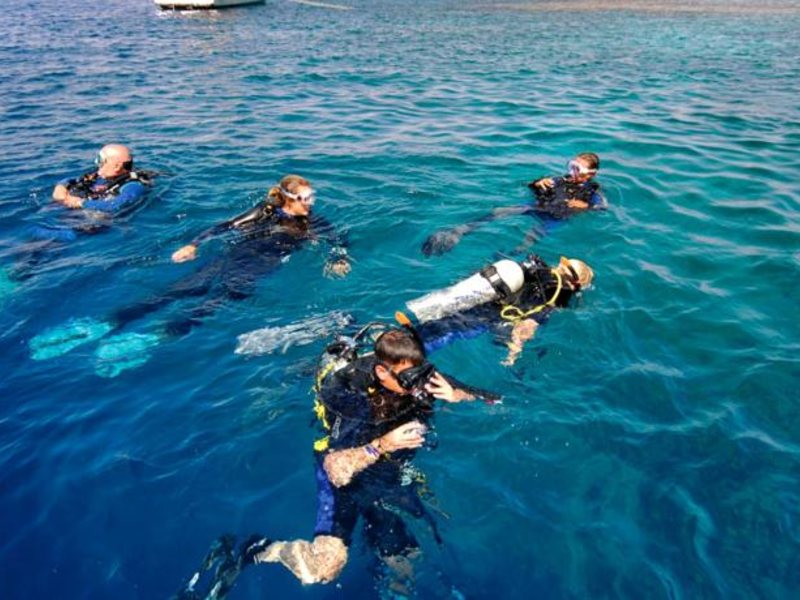 Domina Coral Bay Sultan Pool 123437