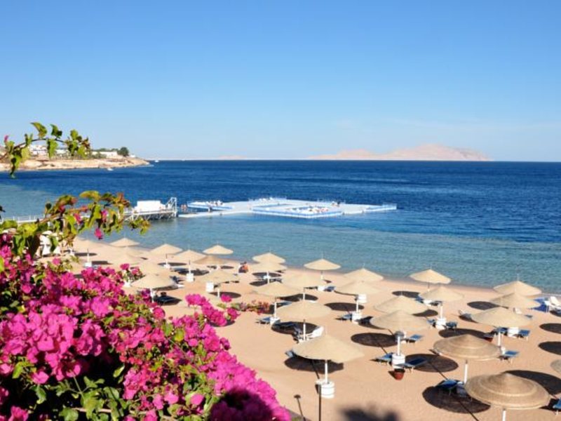 Domina Coral Bay Sultan Pool 123456