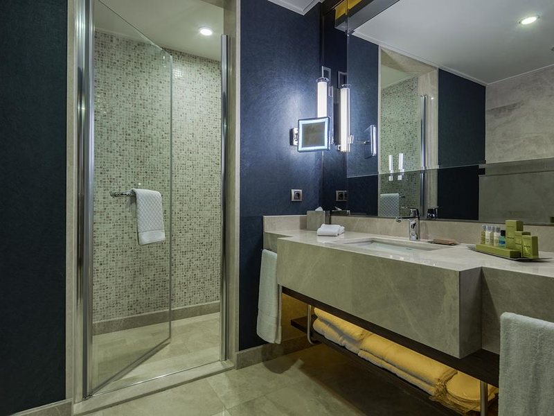 Double Tree by Hilton Topkapi 271628