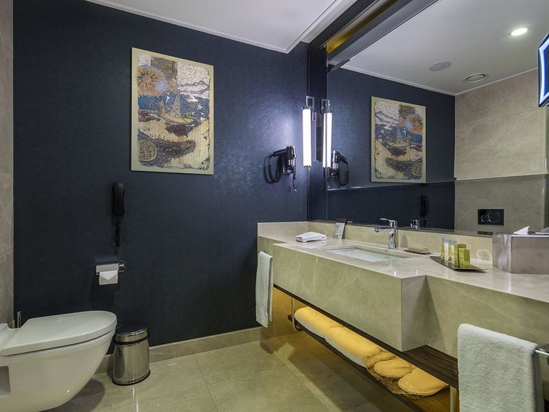 Double Tree by Hilton Topkapi 271629