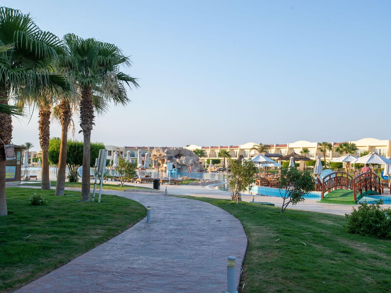 Doubletree By Hilton Sharks Bay (Beach Side) 326513