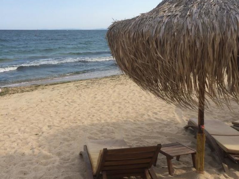 Dream Holiday 244160