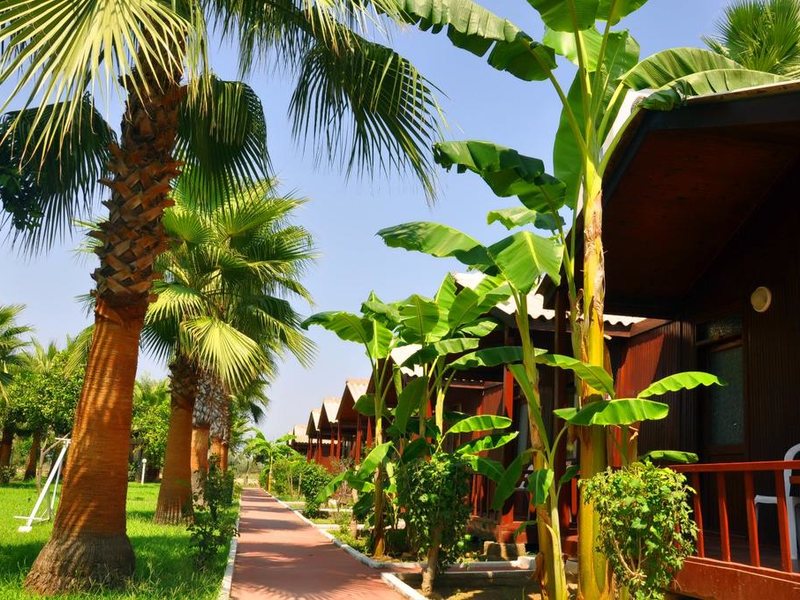 Dream Park Bungalow Hotel  281562