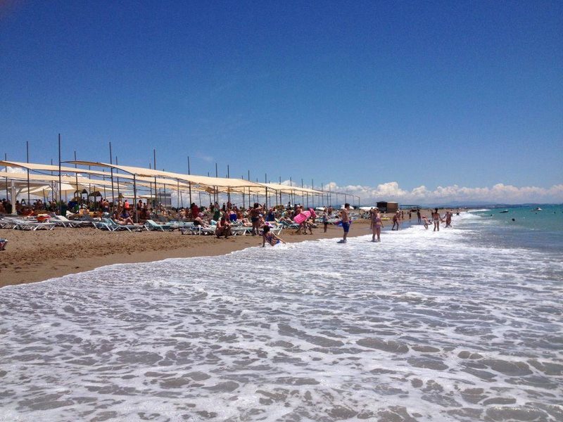 Dream Park Bungalow Hotel  281566