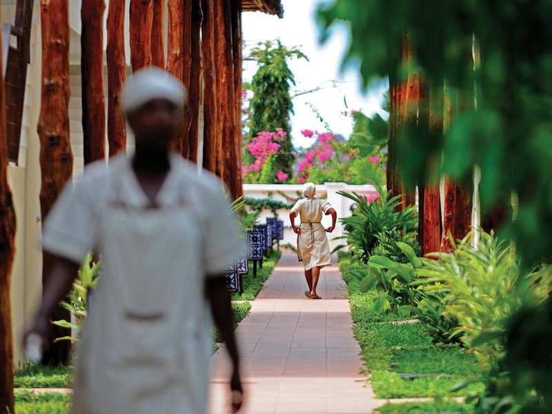 Dream of Zanzibar 199809