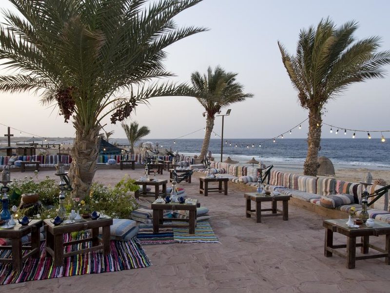 Dreams Beach Resort Marsa Alam 175508
