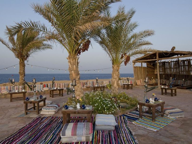 Dreams Beach Resort Marsa Alam 175509