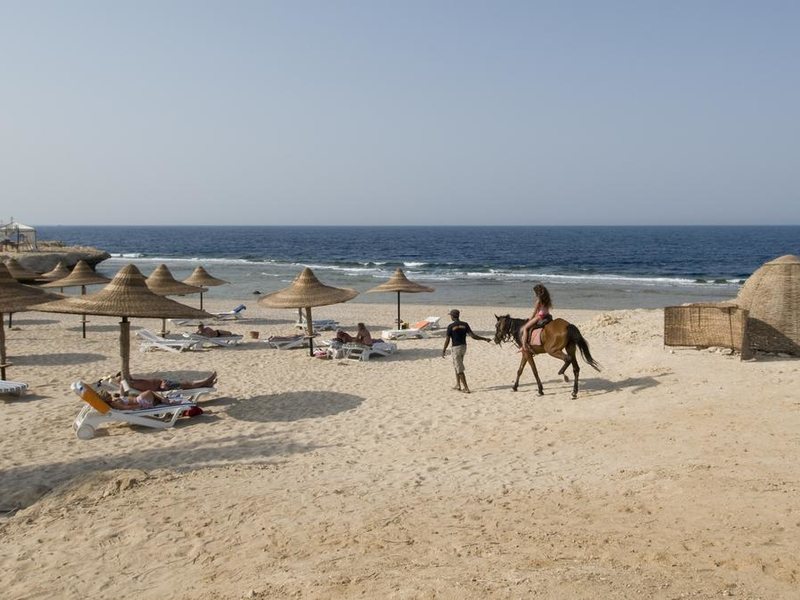 Dreams Beach Resort Marsa Alam 175531