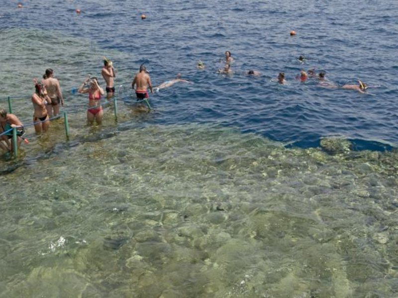 Dreams Beach Sharm El Sheikh 123470