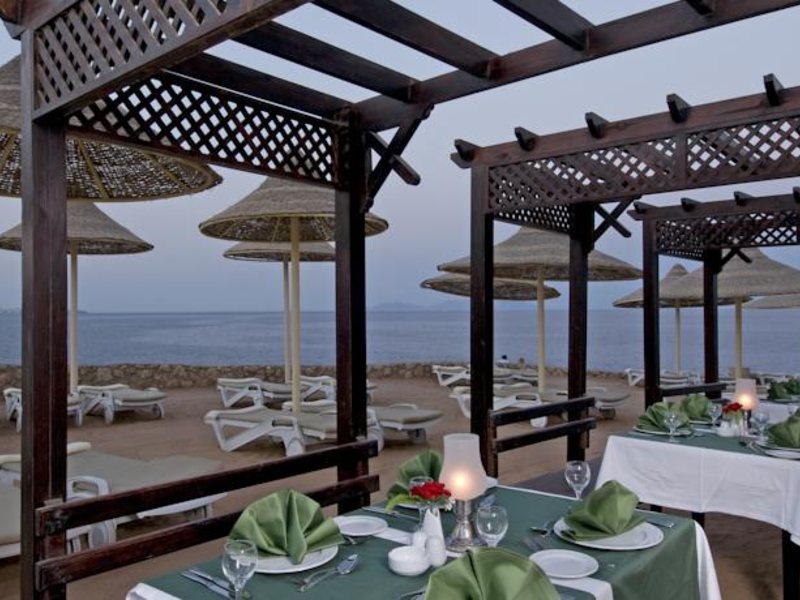 Dreams Beach Sharm El Sheikh 123488