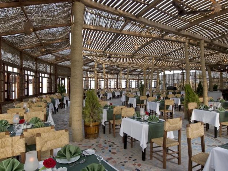 Dreams Beach Sharm El Sheikh 123493