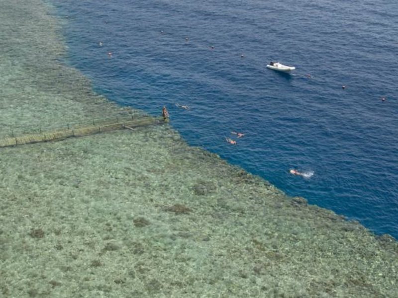 Dreams Beach Sharm El Sheikh 123499