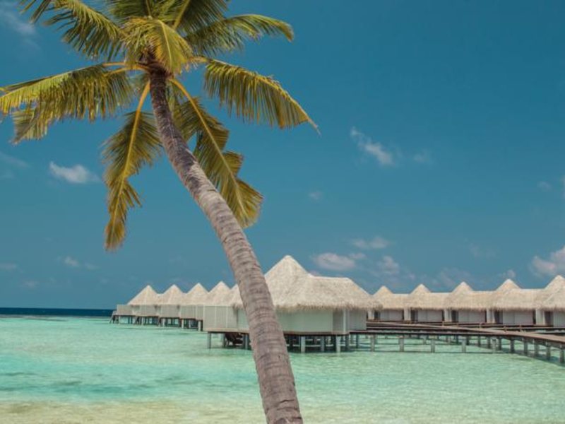 Drift Thelu Veliga Retreat 134571