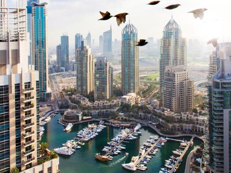 Dusit Residence Dubai Marina Apt 132181