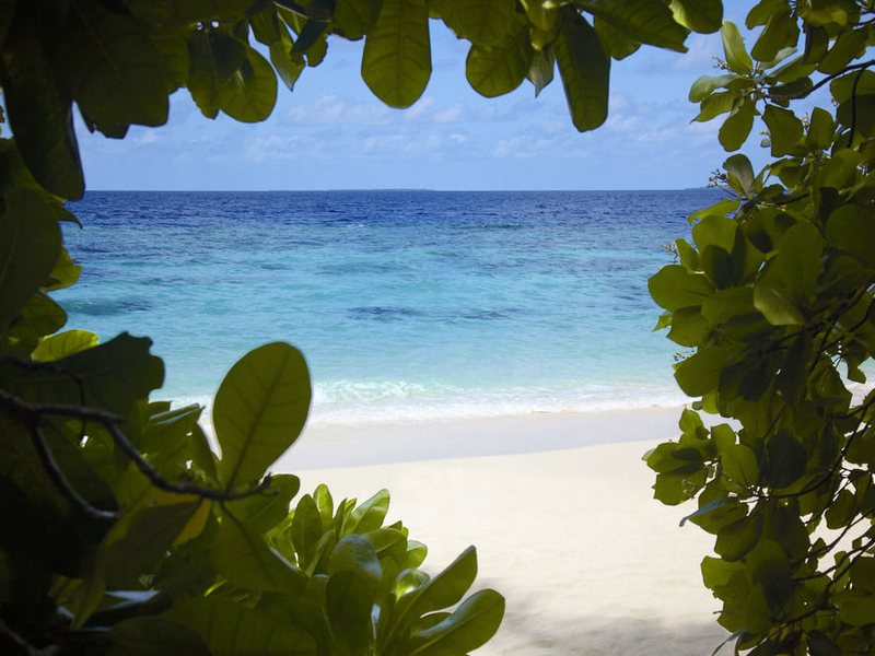 Dusit Thani Maldives 134591