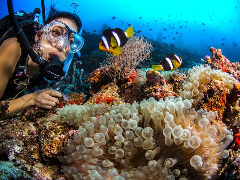 Dusit Thani Maldives 134608