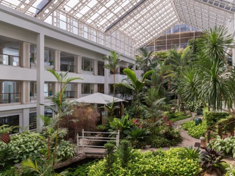 Dusit Thani Pattaya 151552