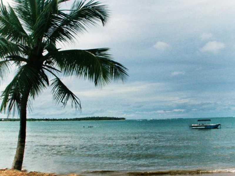 Earl s Passi Bay Hotel 116409