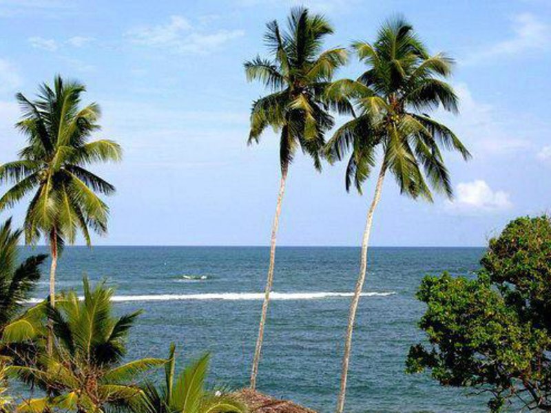 Earl s Reef (ех 108670