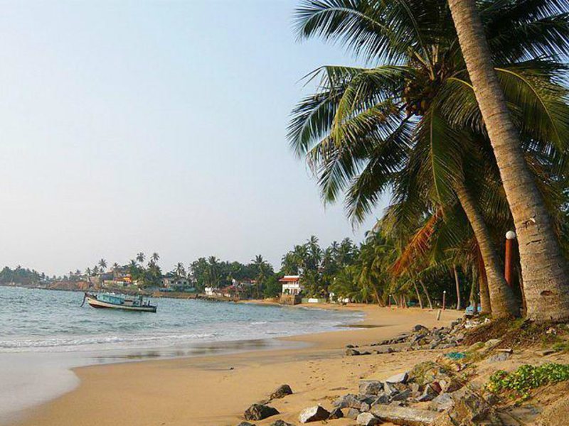 Earl s Reef (ех 108671