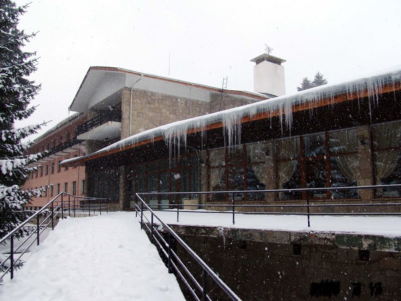 Edelweiss (Borovers) 244268