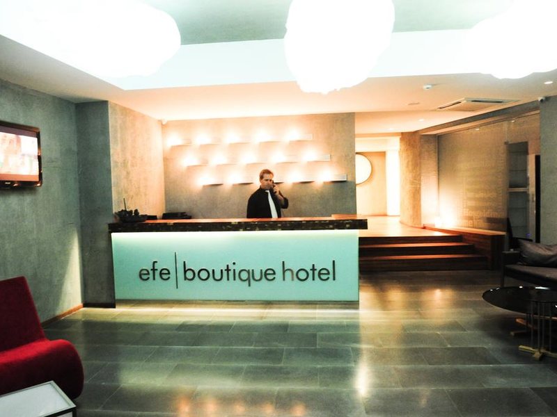 Efe Boutique Hotel 308731