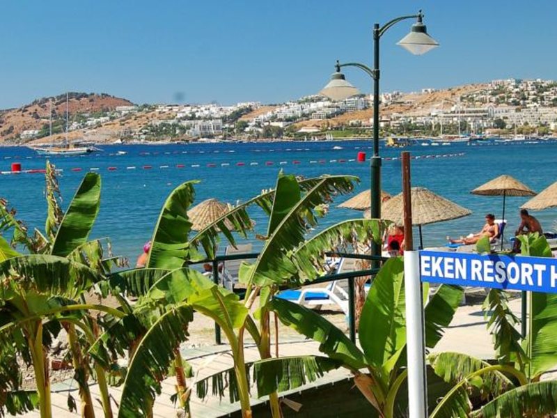 Eken Resort Hotel 60435