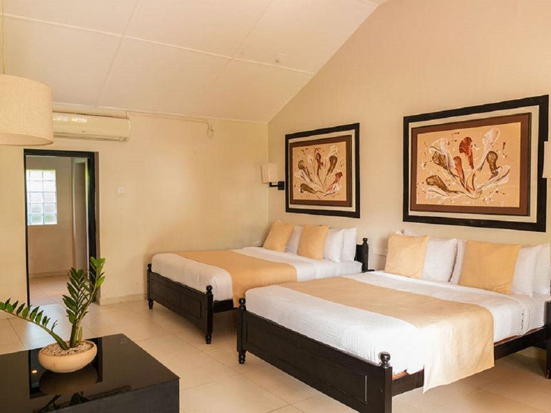 Ekho Weligama 320487