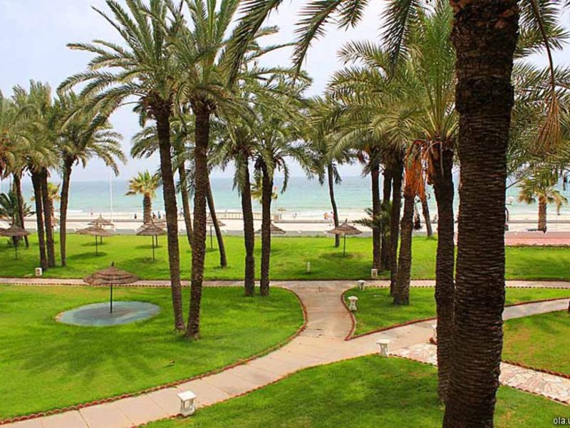 El Hana Beach  16794