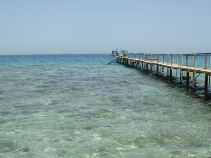 El Samaka Comfort  123652