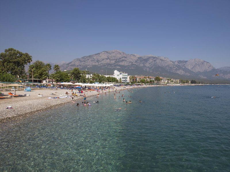 Elamir Felizya (ех 190949