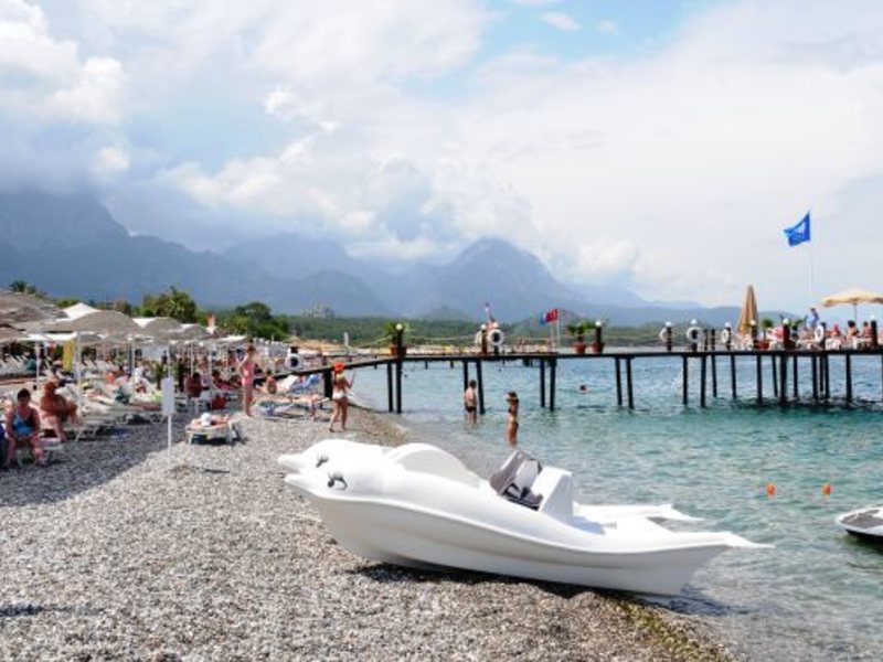 Elamir Magic Dream (ех 176265