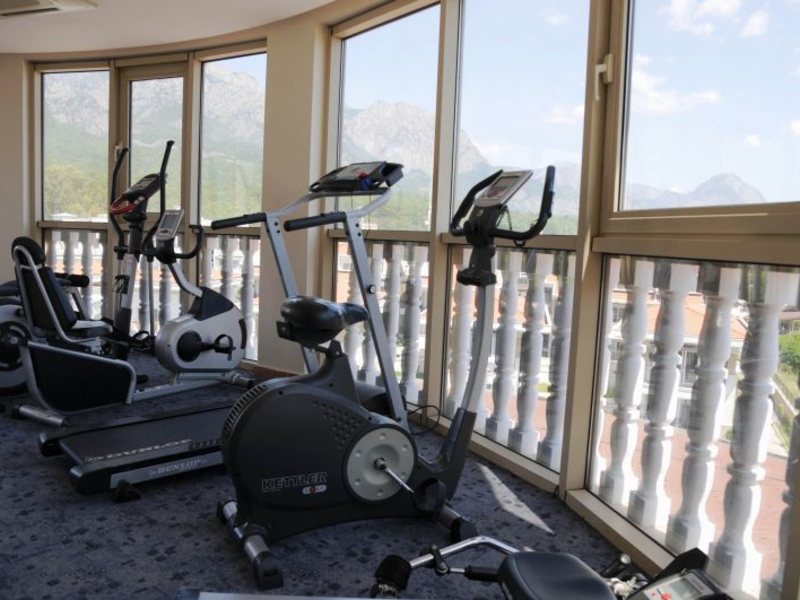 Elamir Magic Dream (ех 176274