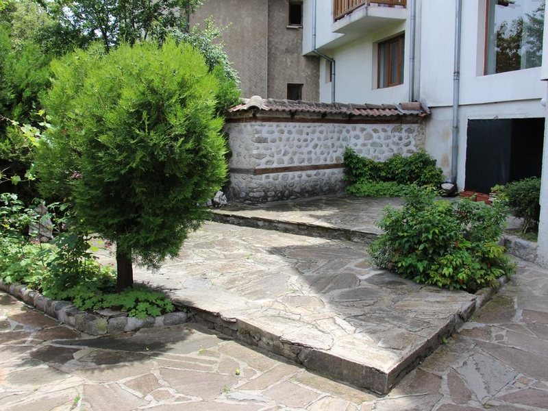 Elena Lodge Family 236320