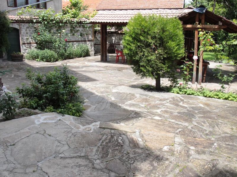 Elena Lodge Family 236321