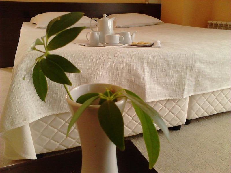 Elitsa (Bansco) 245224