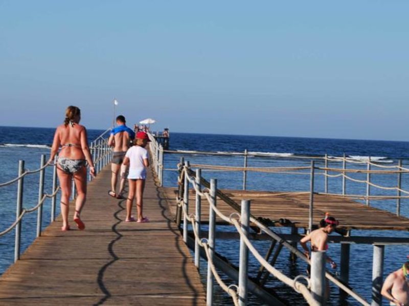 Elphistone Resort 123692