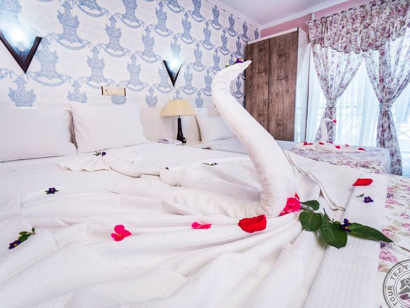 Elysium Elite Hotel & Spa 289591