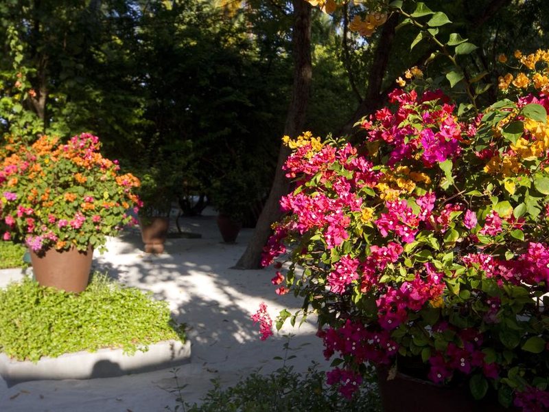 Embudu Village 227930