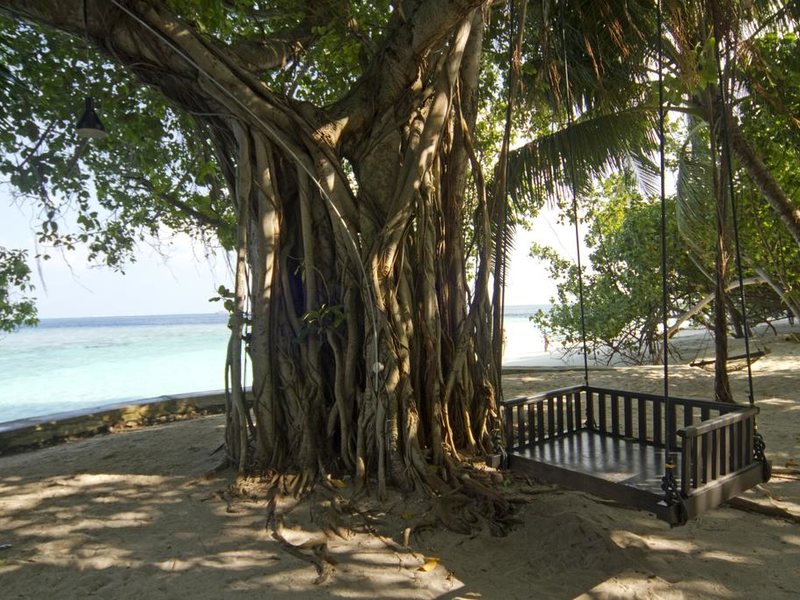 Embudu Village 227932