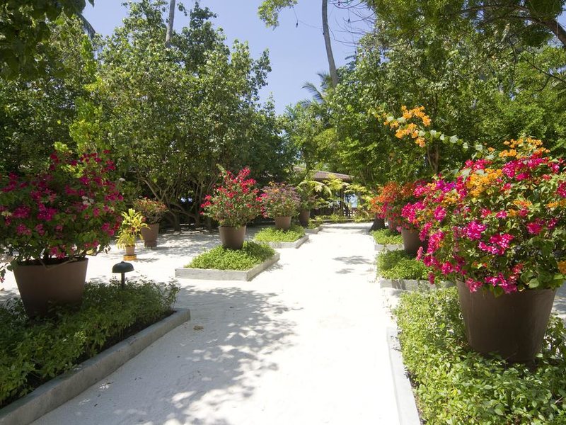 Embudu Village 227935