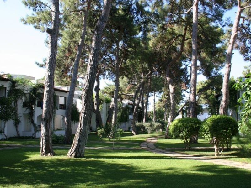 Emelda Sun Club (ex 41294